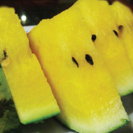 Yellow Crunch, (F1) Watermelon Seeds image number null
