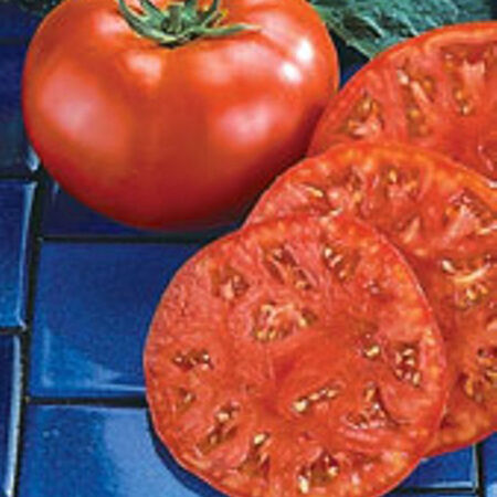 Beefmaster, Tomato Seeds - Packet image number null