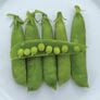 Little Marvel, Pea Seeds - Packet (1 oz.) thumbnail number null