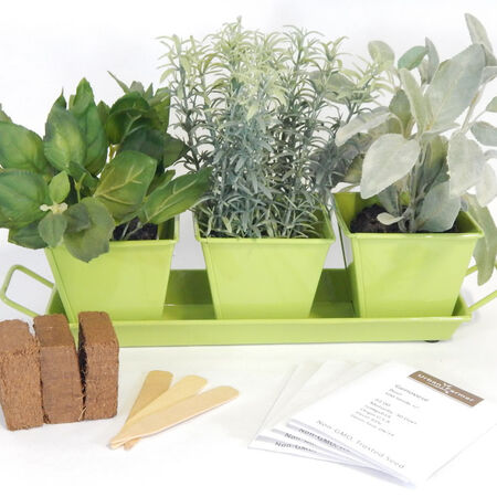 Galvanized Herb Pots Set - Windowsill Planter Kit