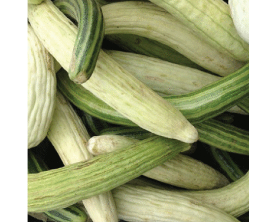 Armenian Mix, Cucumber Seeds - Packet image number null