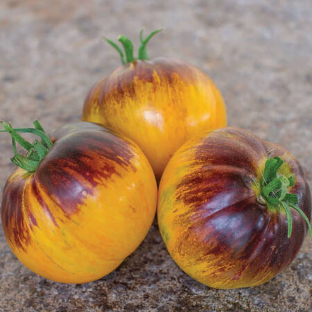 Alice's Dream, Tomato Seeds - Packet image number null