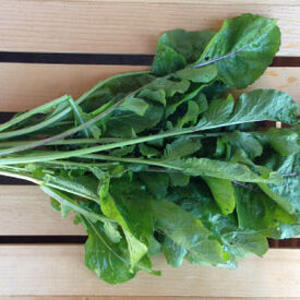 Astro Arugula, Green Seeds