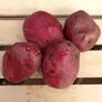 Red Norland, Seed Potatoes - 2 Pounds thumbnail number null