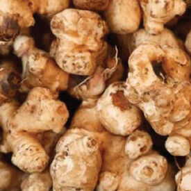 Stampede, Jerusalem Artichokes