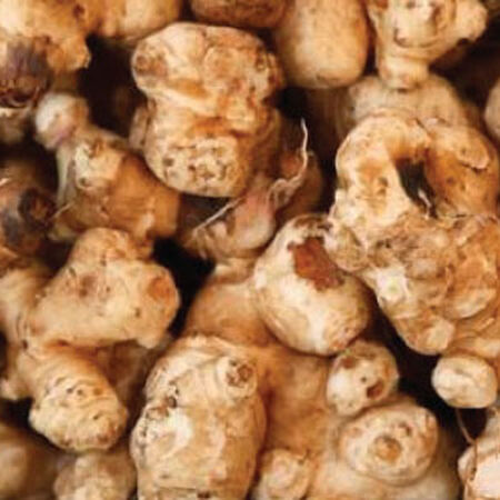 Stampede, Jerusalem Artichokes image number null