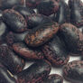 Scarlet Runner, Bean Seeds - Packet (1 oz.) thumbnail number null