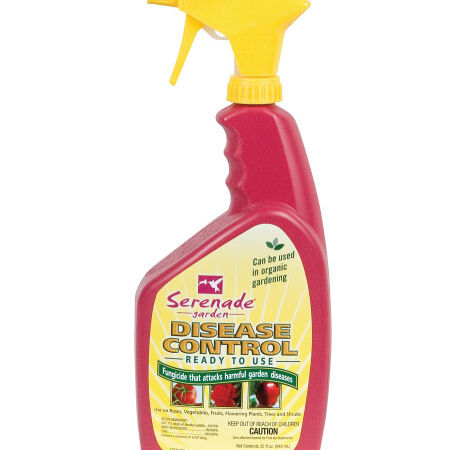 Garden Disease Control Spray Seed,  Pest and Disease - Quart image number null