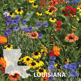Louisiana Blend, Wildflower Seed