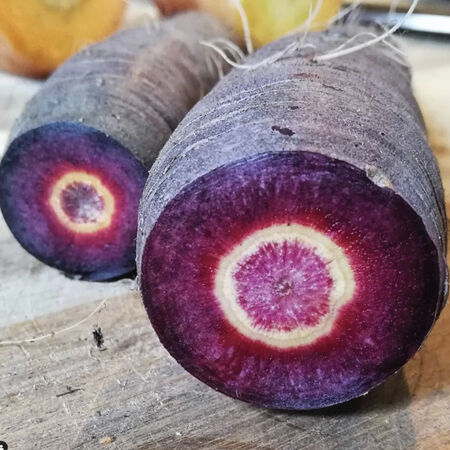 Purple Sun, (F1) Carrot Seeds - Packet image number null