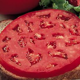 Parks Whopper, (F1) Tomato Seeds