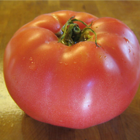 Red Beefsteak, Tomato Seeds - Packet image number null
