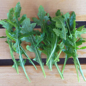 Sylvetta Arugula, Greens