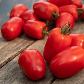 Profi Frutti™ Paprika, (F1) Tomato Seeds