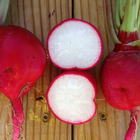 Crimson, Radish Seeds