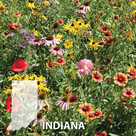 Indiana Blend, Wildflower Seed