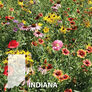 Indiana Blend, Wildflower Seed - 1 Ounce thumbnail number null
