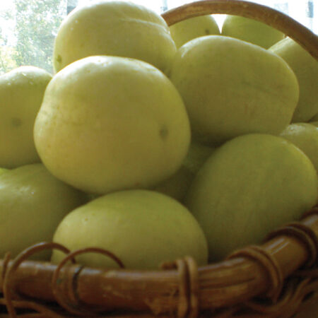 Lemon, Cucumber Seeds - Packet image number null