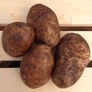 Russet Burbank, Seed Potatoes - 2 Pounds thumbnail number null
