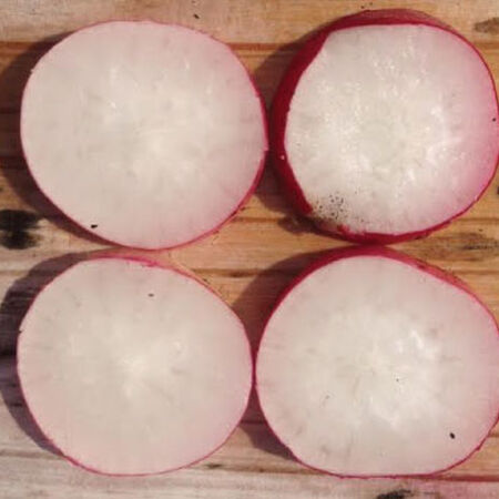 French Breakfast, Radish Seeds - 5 Pounds image number null