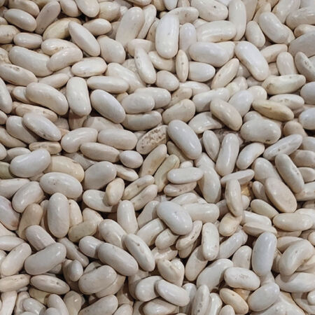 Whiskey Mountain, Bean Seeds - 1/4 Pound image number null