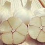 German White, Garlic Bulbs - 1/4 Pound thumbnail number null