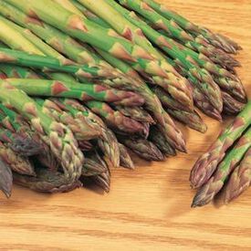 Mary Washington, Asparagus Roots