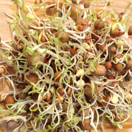 Bean Mix, Sprout Seeds - 1 Ounce image number null