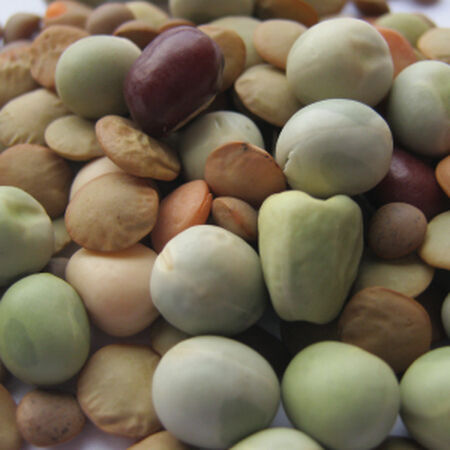 Bean Mix, Sprout Seeds - 1 Ounce image number null