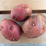 La Soda, Seed Potatoes - 2 Pounds thumbnail number null