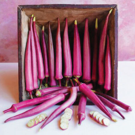 French Quarter Pink, (F1) Okra Seed - Packet image number null