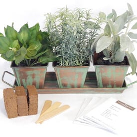 Metal Herb Kit (Square), Herb Kit