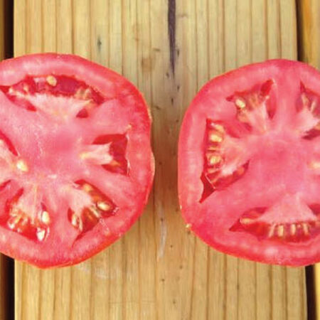 Rutgers, Tomato Seeds - Packet image number null