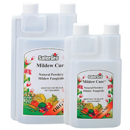 Mildew Cure Concentrate, Pest and Disease image number null