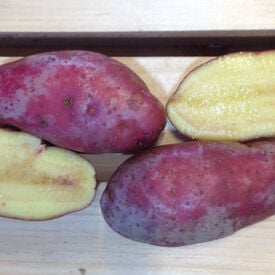 French Fingerling, Seed Potatoes