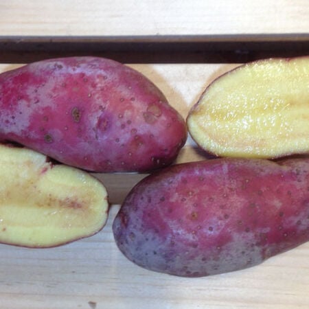 French Fingerling, Seed Potatoes - 2 Pounds image number null