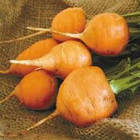 Thumbelina, Carrot Seeds