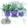 Metal Herb Kit with Handle, Herb Kits - Purple thumbnail number null