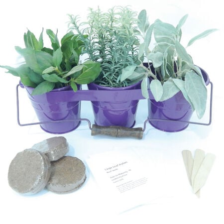 Metal Herb Kit with Handle, Herb Kits - Purple image number null