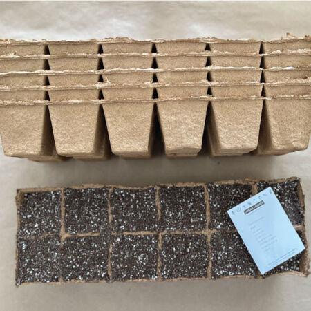 12 Cell Fertilpot Strips image number null