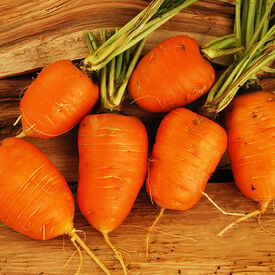 Oxheart, Carrot Seeds
