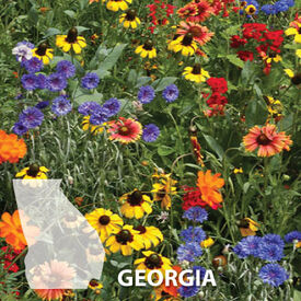 Georgia Blend, Wildflower Seed