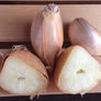 Elephant, Garlic Bulbs thumbnail number null