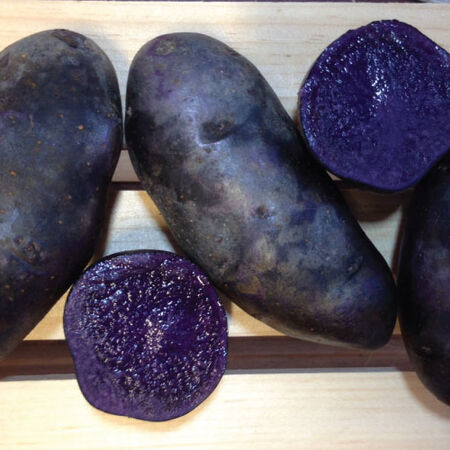 Magic Molly, Seed Potatoes - 2 Pounds image number null