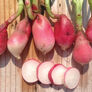 French Breakfast, Radish Seeds - 5 Pounds thumbnail number null
