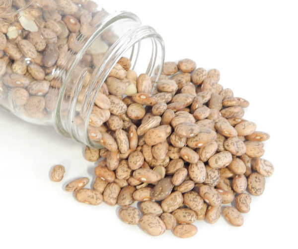 Outdoor & Gardening Seeds & Seed Bombs Pinto Bean heirloom 20 seeds