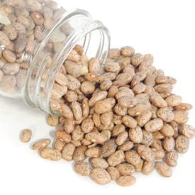 Pinto, Bean Seeds