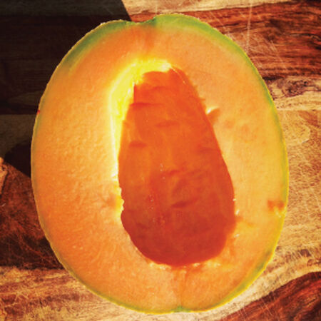 Hales Best Jumbo, Cantaloupe Seeds - 1 Pound image number null