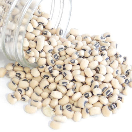 California Blackeye #5, Cowpea Seeds - Packet image number null