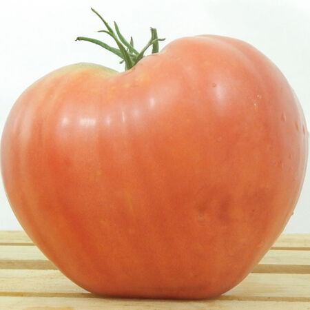 Red Oxheart, Tomato Seeds image number null
